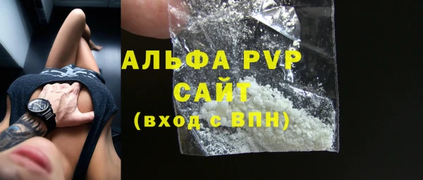 стафф Гусев