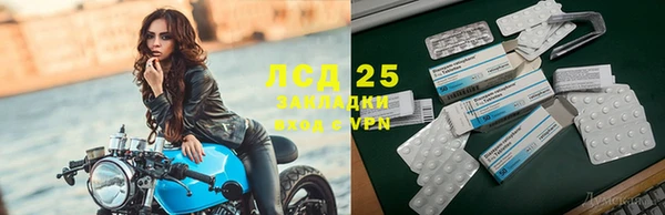 PSILOCYBIN Гусиноозёрск