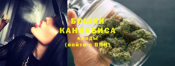 стафф Гусев