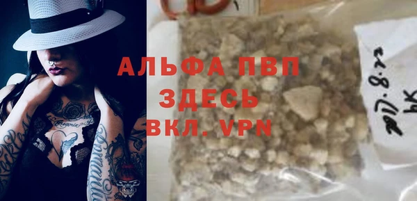 стафф Гусев