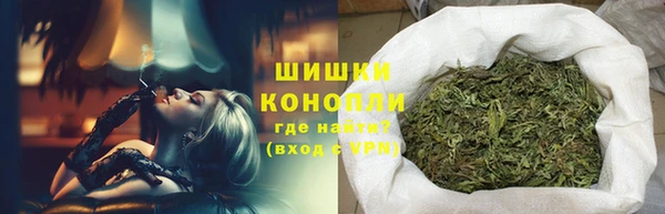 PSILOCYBIN Гусиноозёрск
