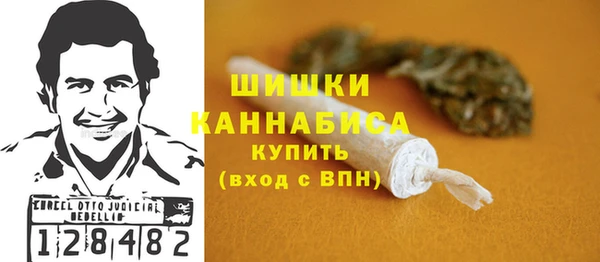 стафф Гусев