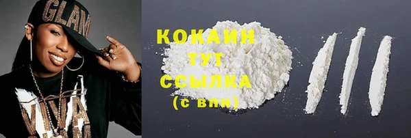 PSILOCYBIN Гусиноозёрск