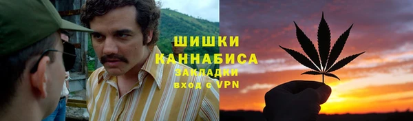 PSILOCYBIN Гусиноозёрск