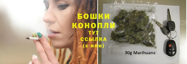 PSILOCYBIN Гусиноозёрск