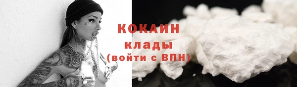 стафф Гусев