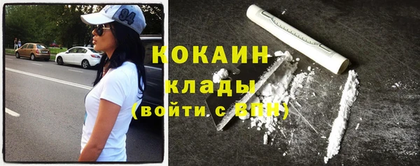 стафф Гусев