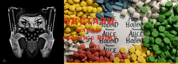 PSILOCYBIN Гусиноозёрск