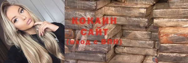 PSILOCYBIN Гусиноозёрск